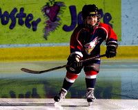 2014-2015 Victoria Royals Hockey Club