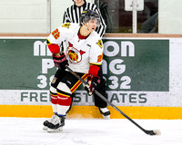 2014-2015 Saanich Braves Junior B Hockey Club