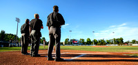 2014 Victoria HarbourCats Baseball Club