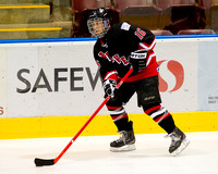 2012-2013 Saanich Braves Junior B Hockey Club