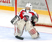 2014-2015 Saanich Braves Junior B Hockey Club