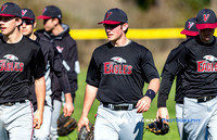 2019 Victoria Eagles Baseball Club