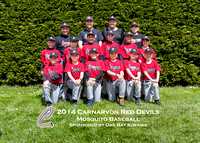 2014 Carnarvon Baseball Club