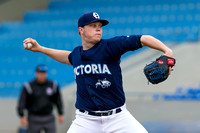 2017 Victoria HarbourCats Baseball Club