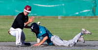 2015 Victoria Eagles Baseball Club
