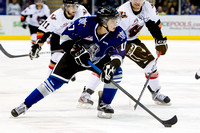 2012-2013 Victoria Royals Hockey Club