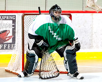 Victoria Senior Men's C Lacrosse League