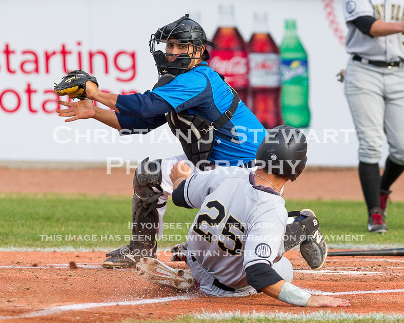 2014 Victoria HarbourCats Baseball Club