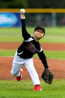 2014 Victoria HarbourCats Baseball Club