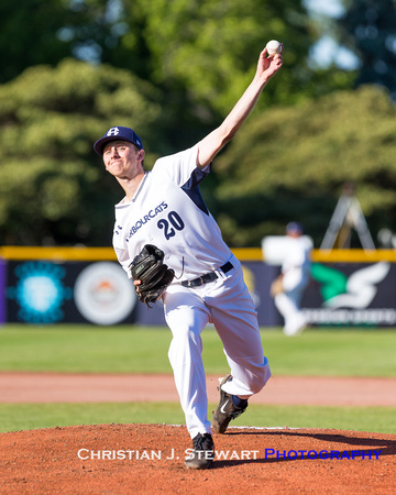 2017 Victoria HarbourCats Baseball Club