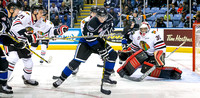 2015-2016 Victoria Royals Hockey Club