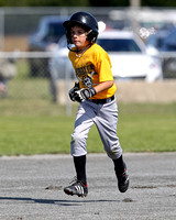 2012 Tadpole Regional Baseball Championships
