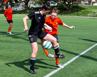 2014 Lower Island Women's Soccer Association Championships