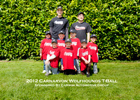 T-Ball Wolfhounds