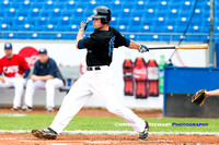 2016 Victoria HarbourCats Baseball Club