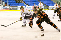 2014-2015 Victoria Grizzlies Hockey Club