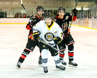 2014-2015 Victoria Grizzlies Hockey Club