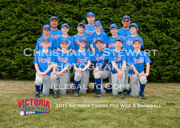 2011 Victoria Tigers Pee Wee A