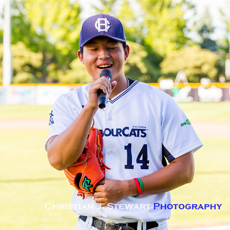 2017 Victoria HarbourCats Baseball Club