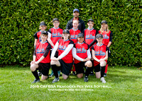 Pee Wee Softball - Peacocks