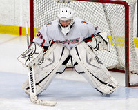 Saanich Minor Hockey, 2011-2012