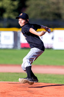 2017 Victoria HarbourCats Baseball Club