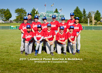 2011 Lambrick Park Baseball Association