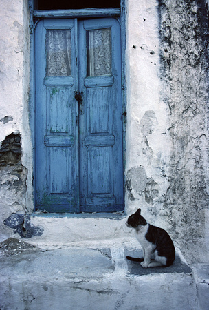 Cat and Blue Door, Paros